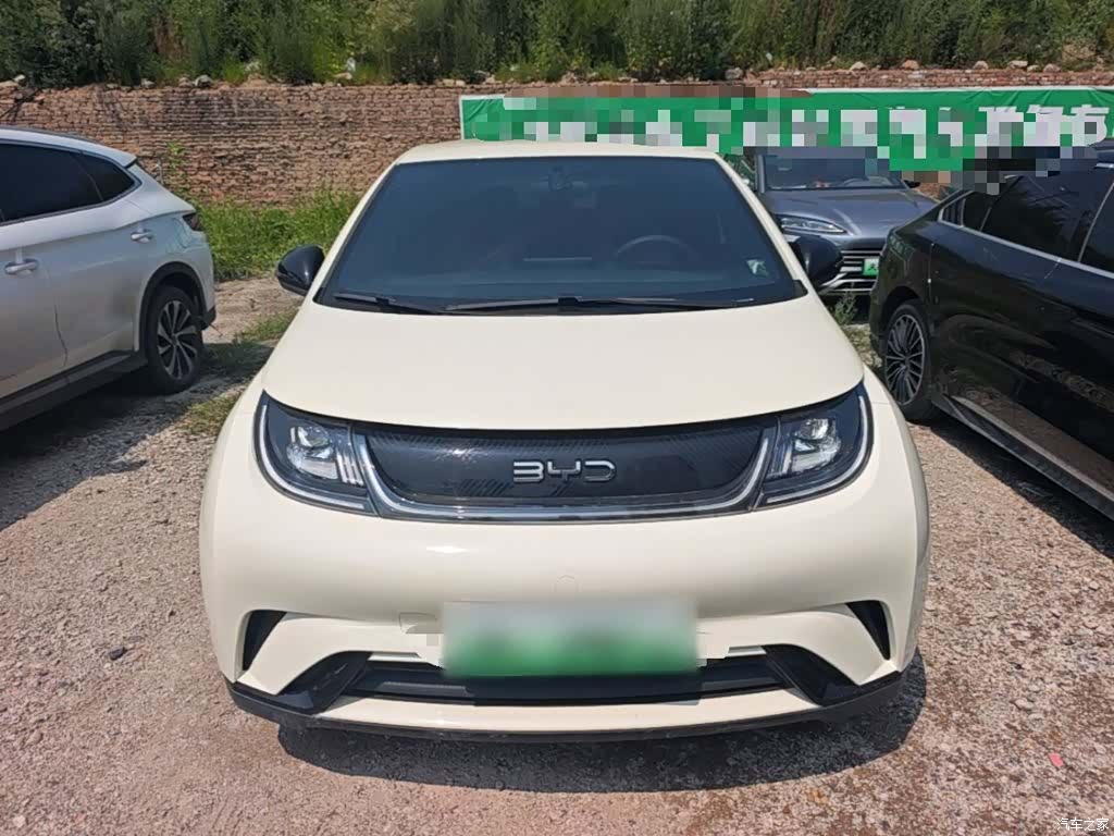 BYD Dolphin, 2024 3