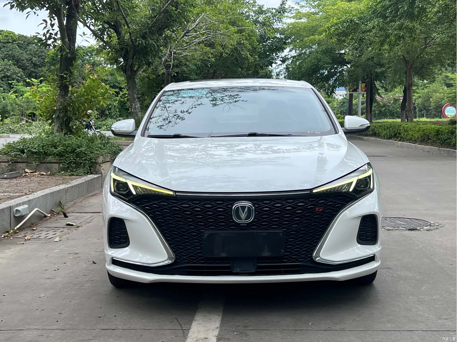 Changan Eado, 2020 2