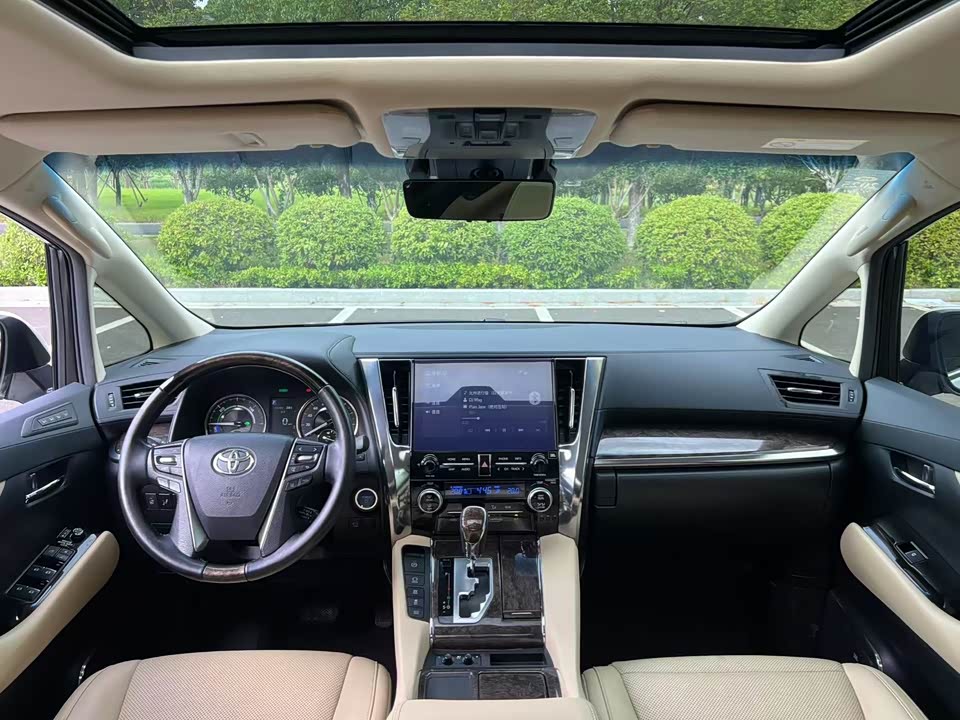 Toyota Elfa