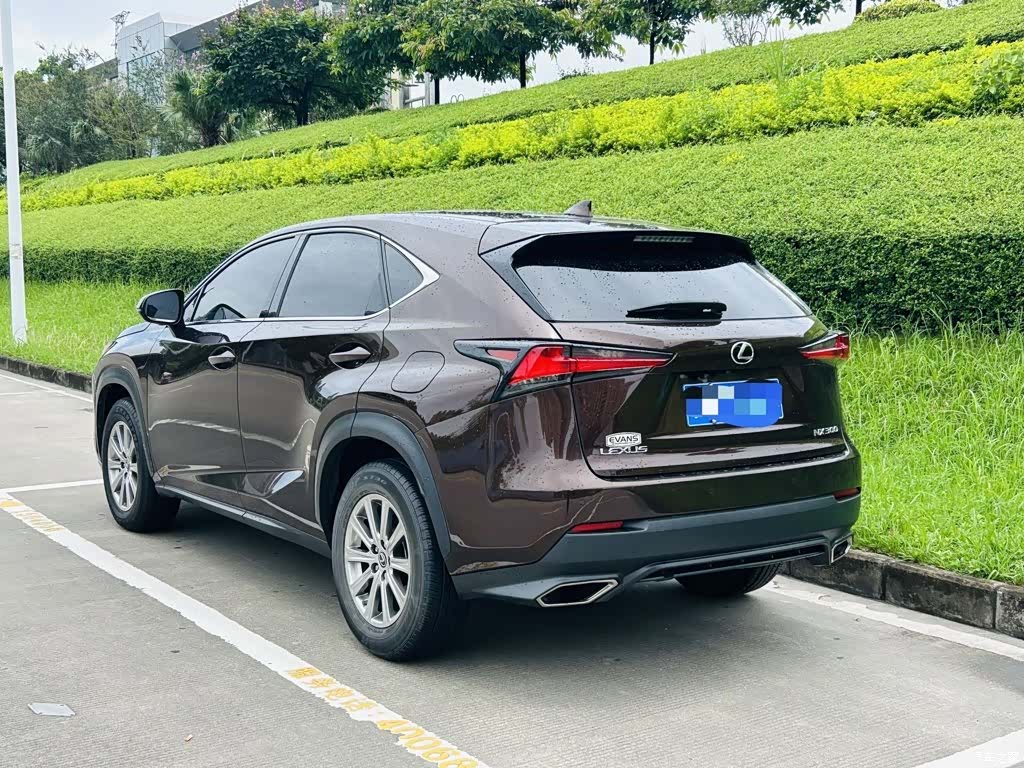 Lexus NX, 2018 6
