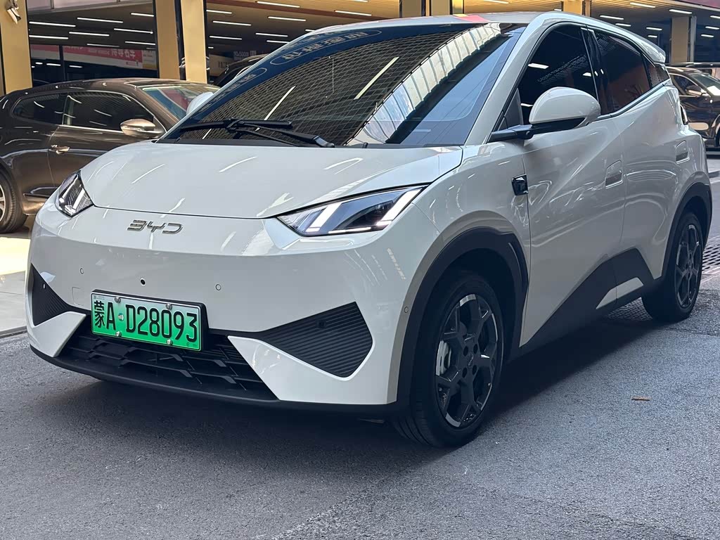 BYD Seagull
