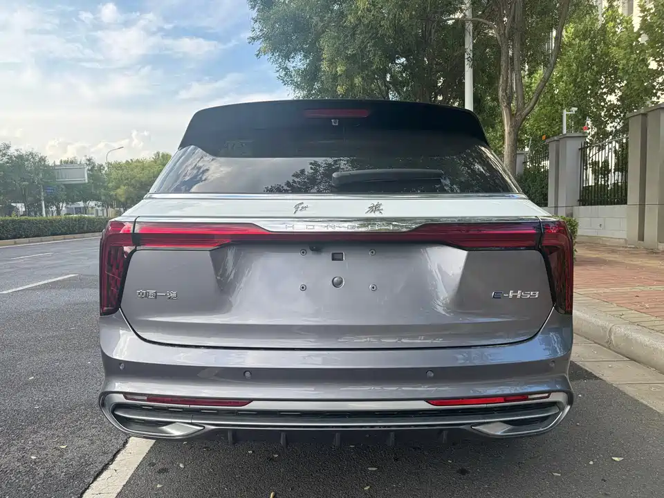 Hongqi E-HS9