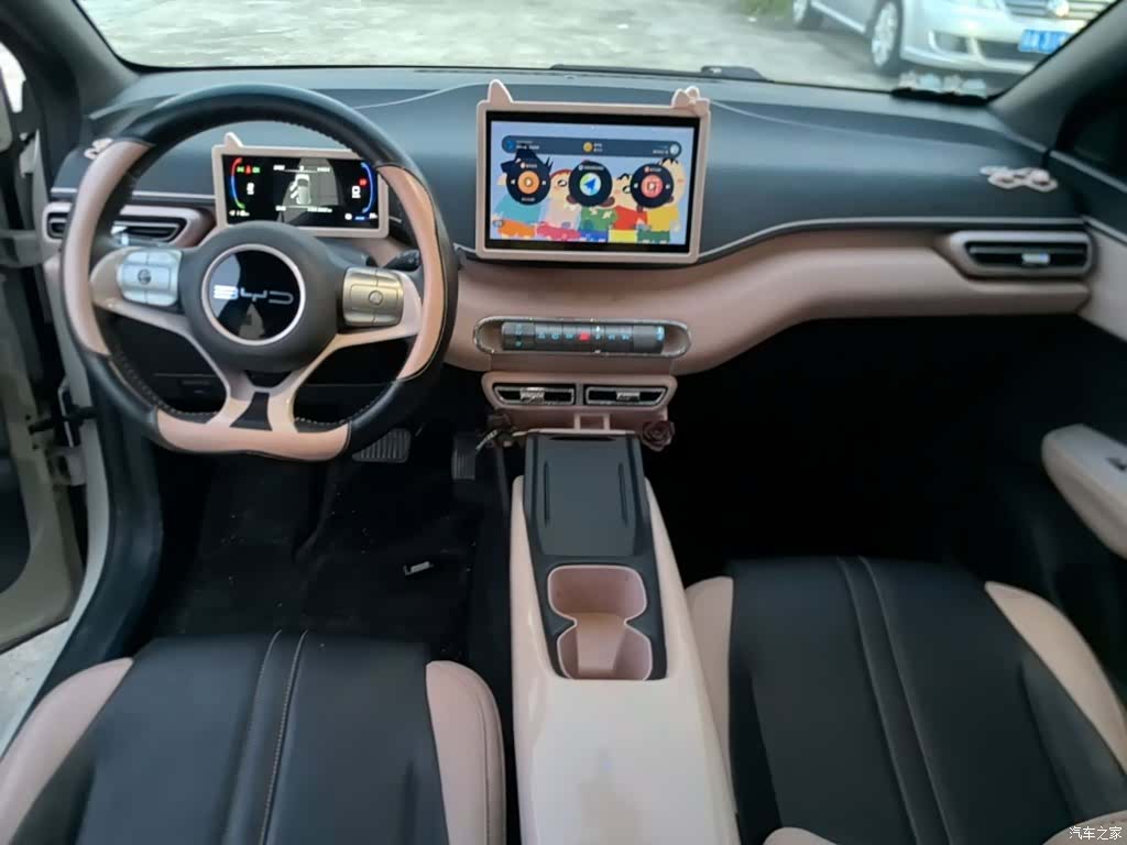 BYD Seagull, 2024 10