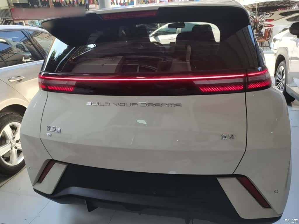 BYD Seagull, 2024 6