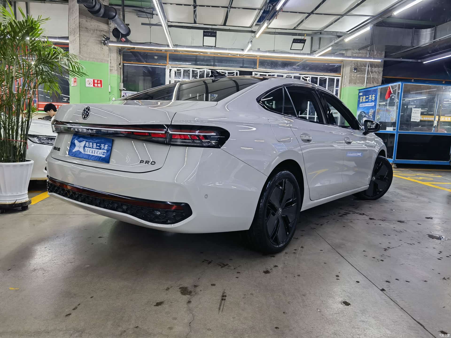 Volkswagen Passat, 2024 4
