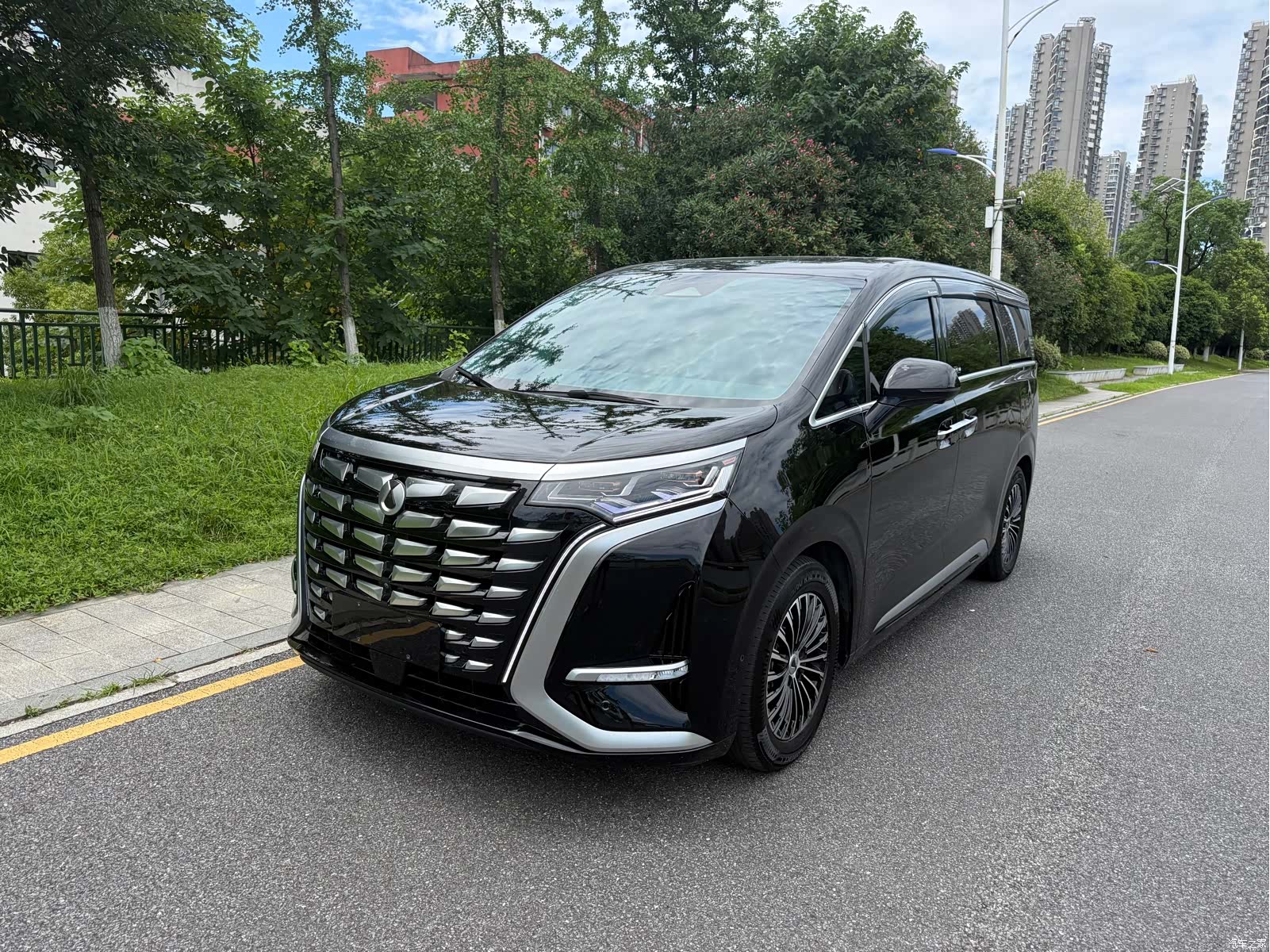 Denza D9