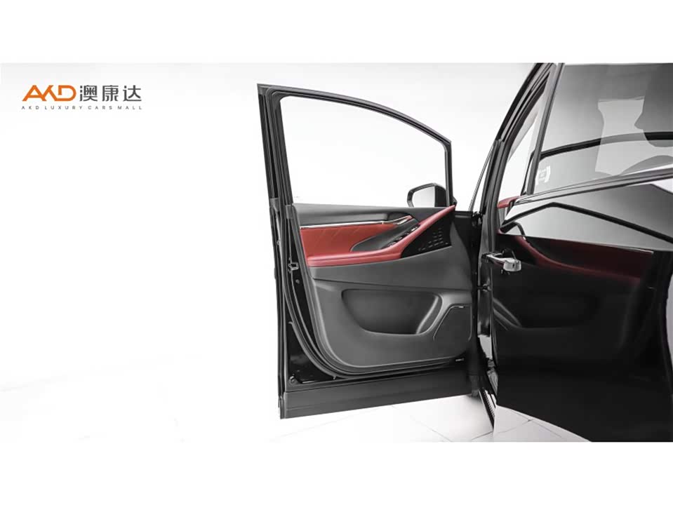 Trumpchi Trumpchi E9