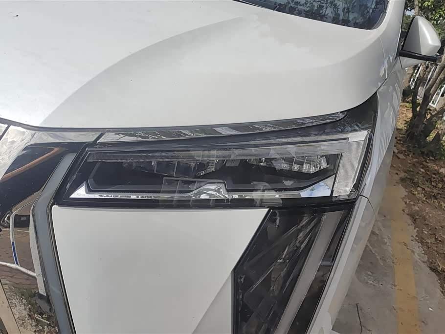 Trumpchi Trumpchi E9