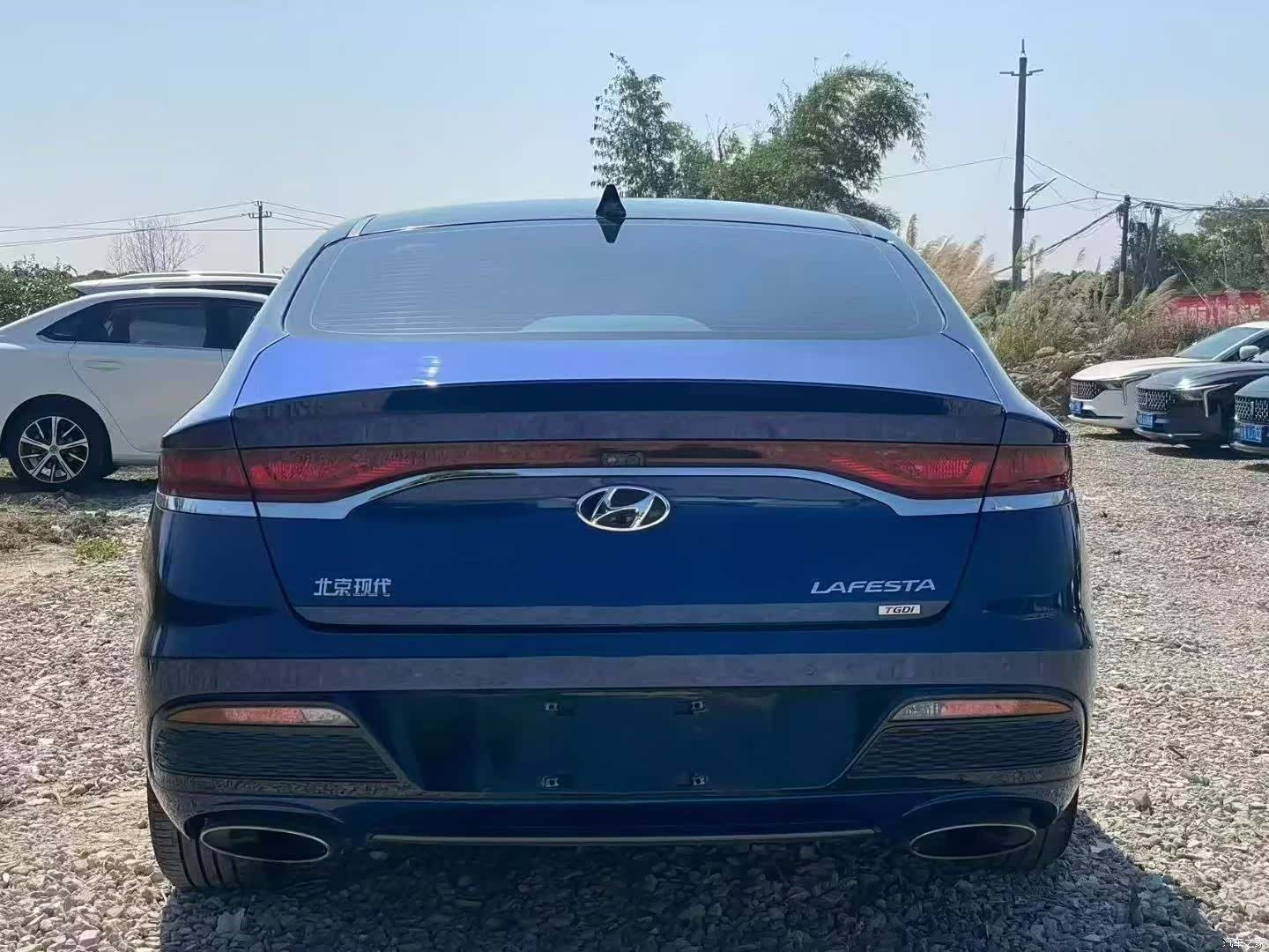Hyundai Lafesta, 2019 8