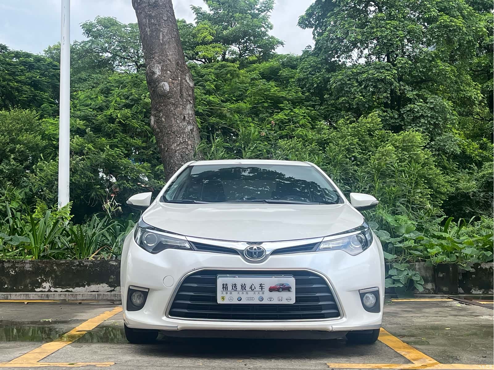 Toyota Levin, 2017 2