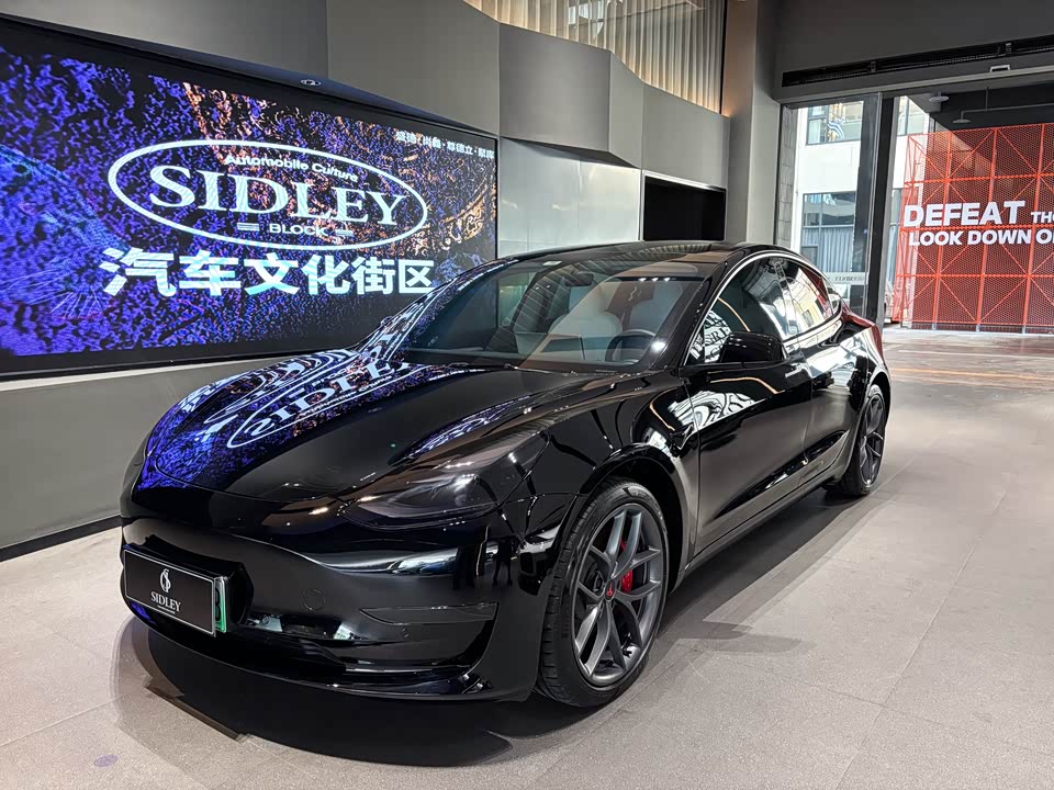 Tesla Model 3 Tesla Model 3