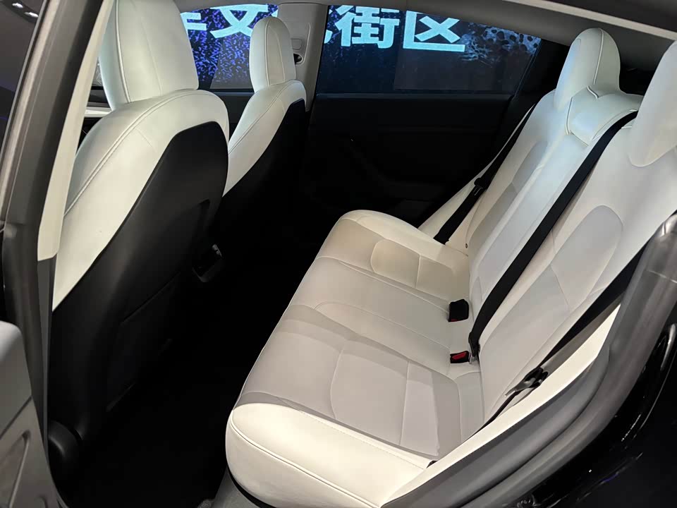 Tesla Model 3 Tesla Model 3