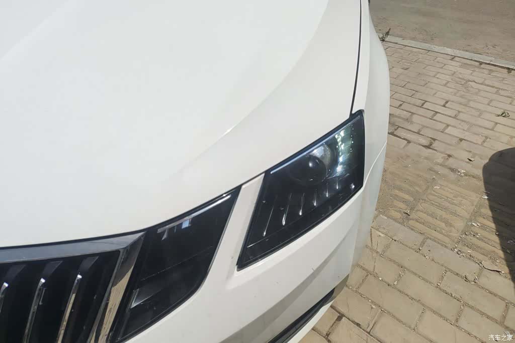 Skoda Octavia, 2017 все фото