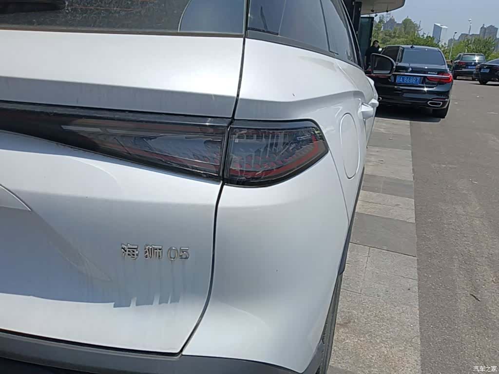 BYD HiAce, 2024 24
