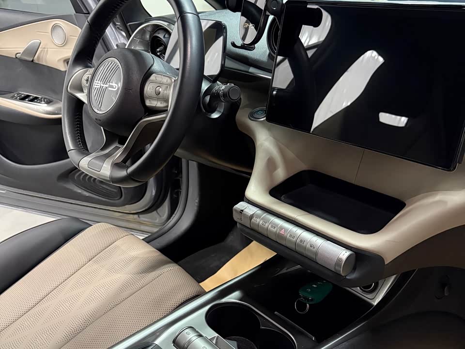 BYD dolphin