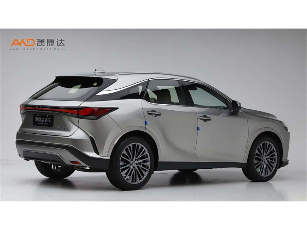 Lexus RX, 2023 3