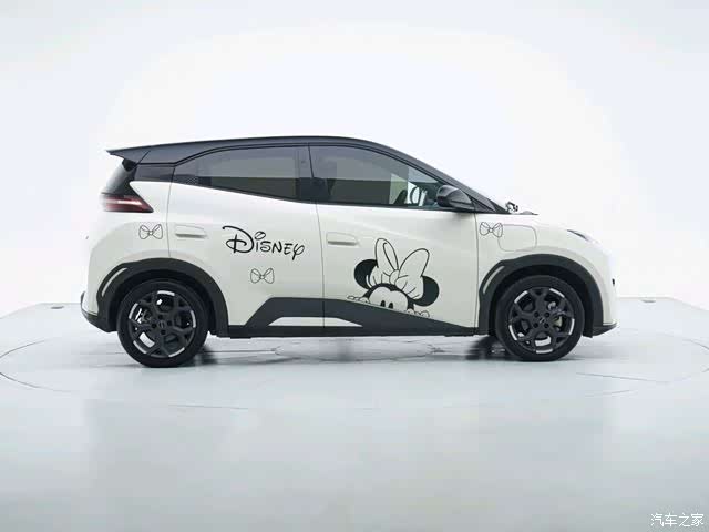 BYD Seagull, 2024 3
