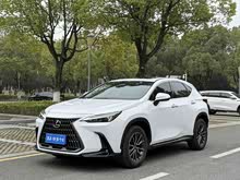 �׿���˹NX 2023�� 350h ǰ�� ���ð�