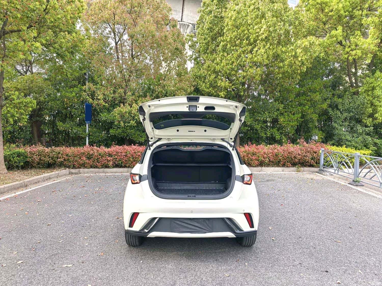 BYD Dolphin, 2024 6