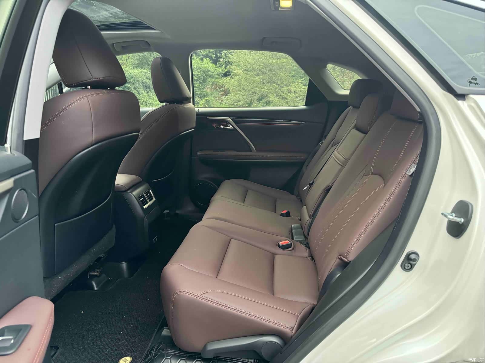 Lexus RX, 2022 все фото
