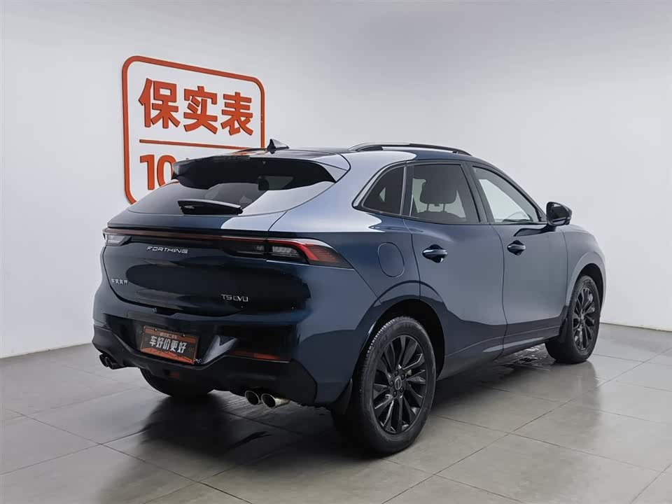 Forthing Popular T5 EVO