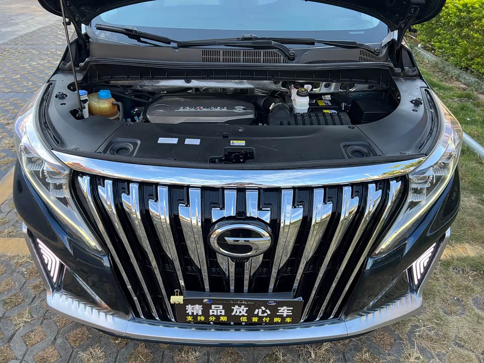 Trumpchi Trumpchi M8