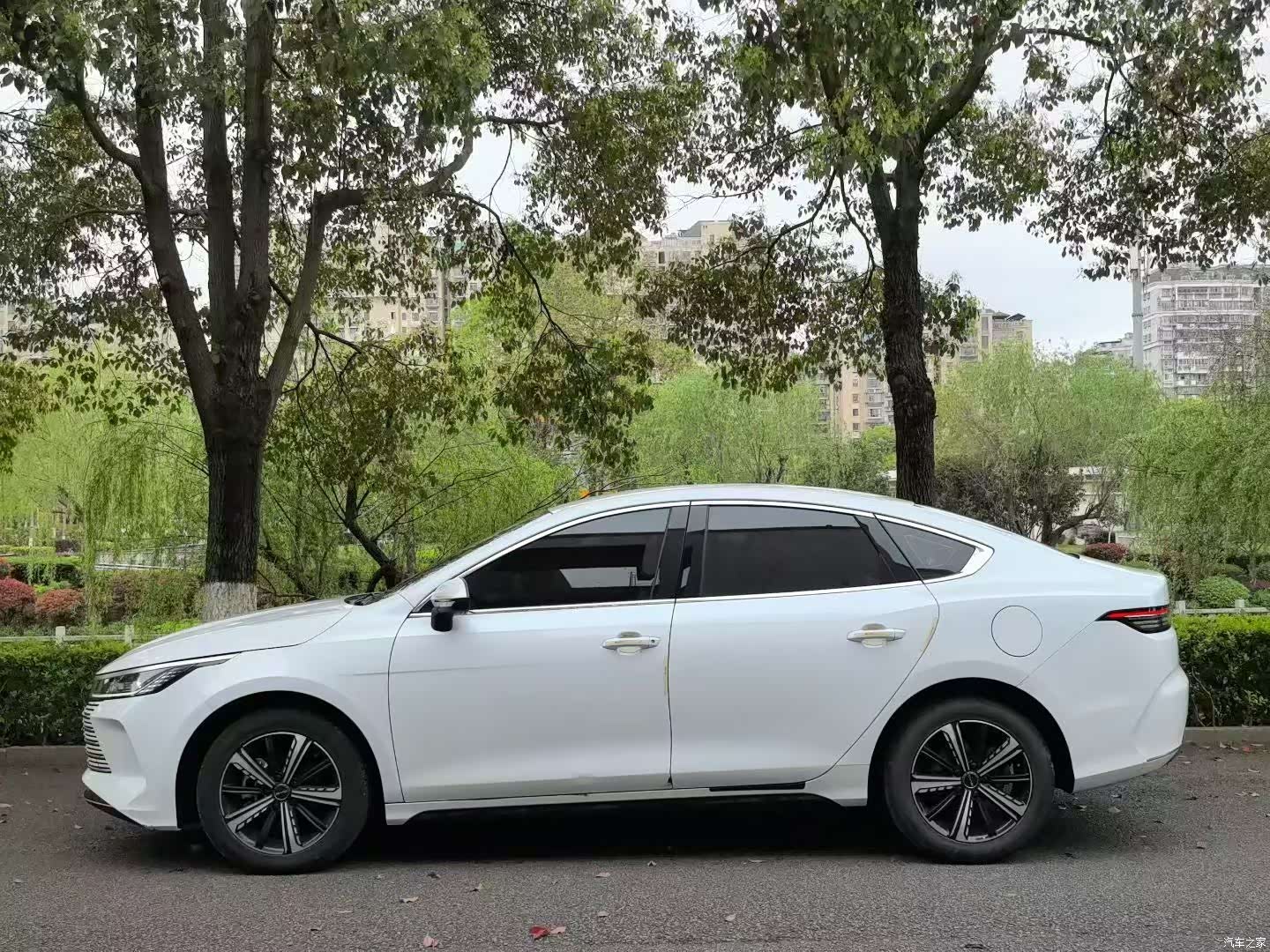 BYD Destroyer 05, 2024 3