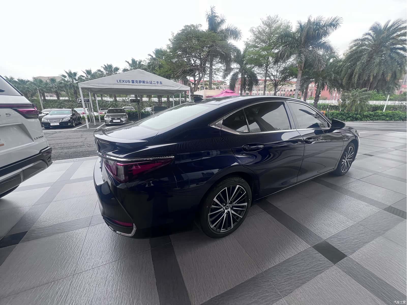 Lexus ES, 2024 все фото