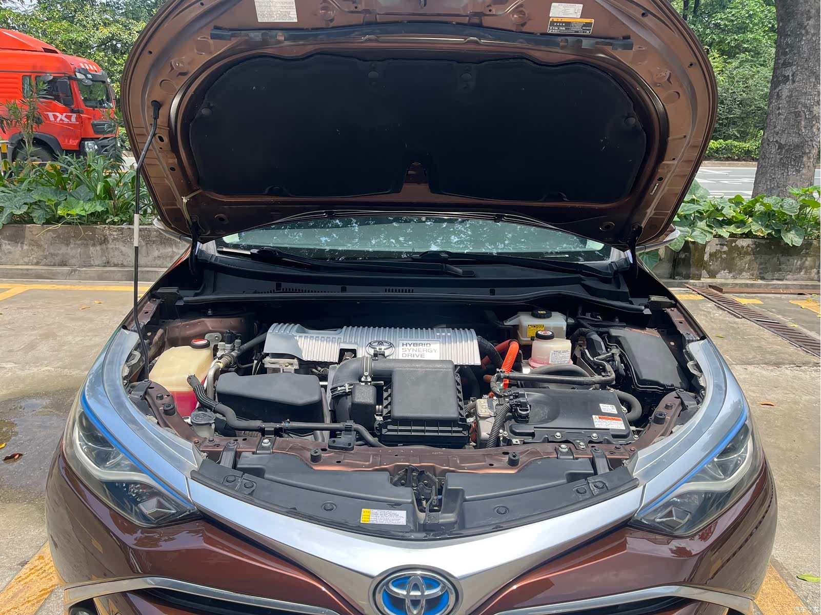 Toyota Levin, 2018 16