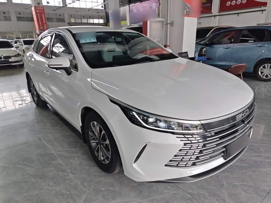 BYD Destroyer 05 2024, фото 4