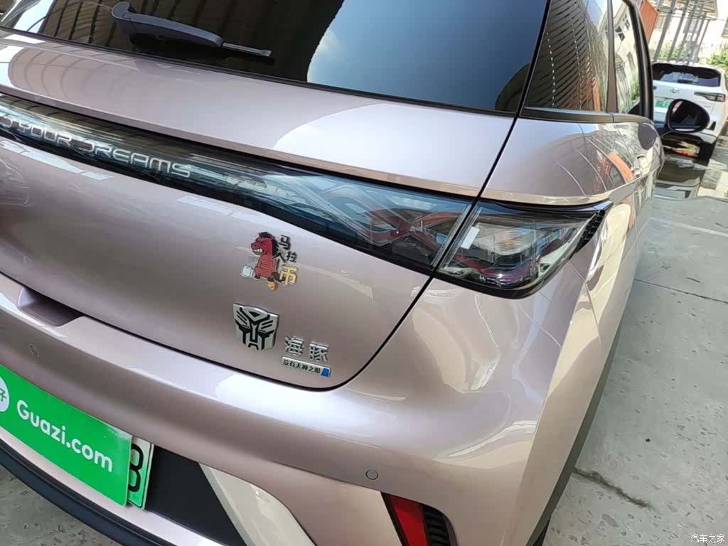 BYD Dolphin, 2024 24