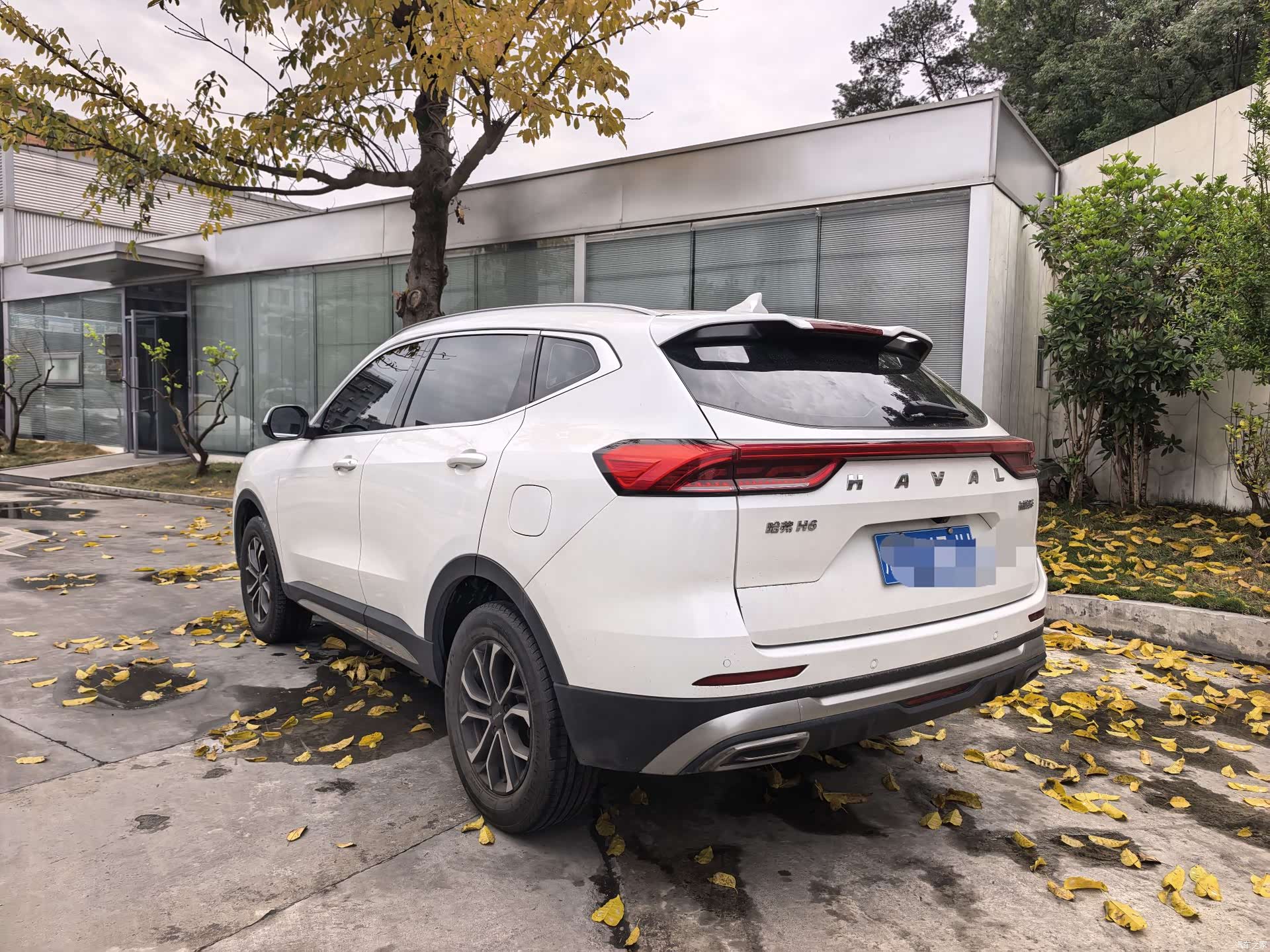 Haval H6, 2022 7