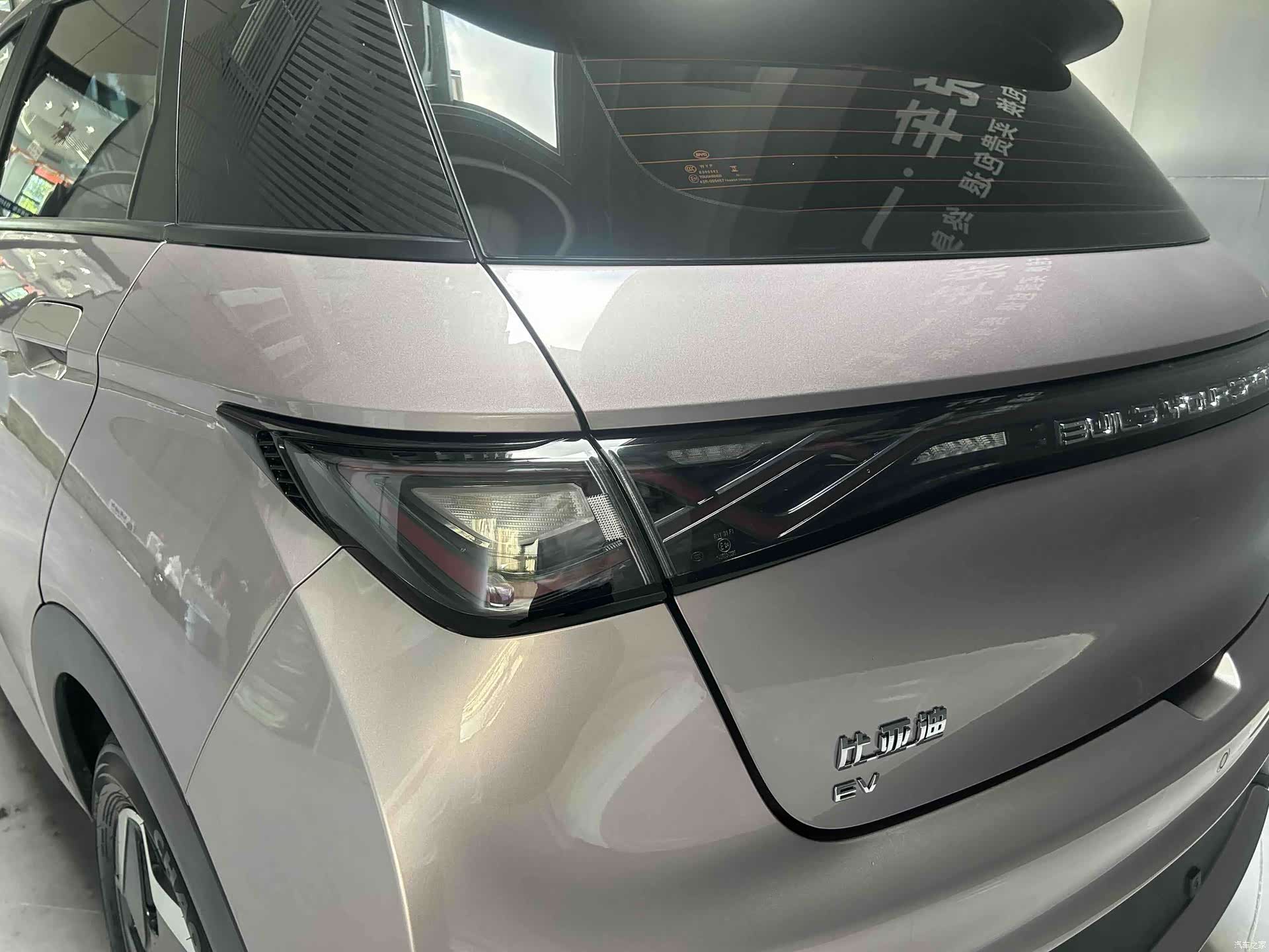 BYD Dolphin, 2022 все фото
