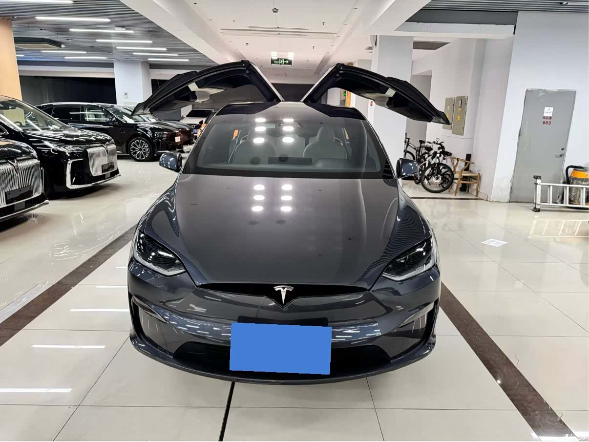 Tesla Model X, 2023 6