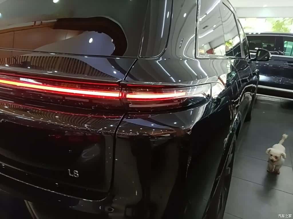 Li Auto L8, 2024 8