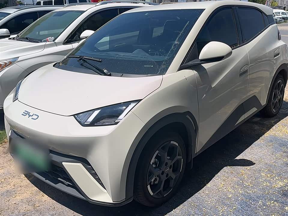 BYD Seagull
