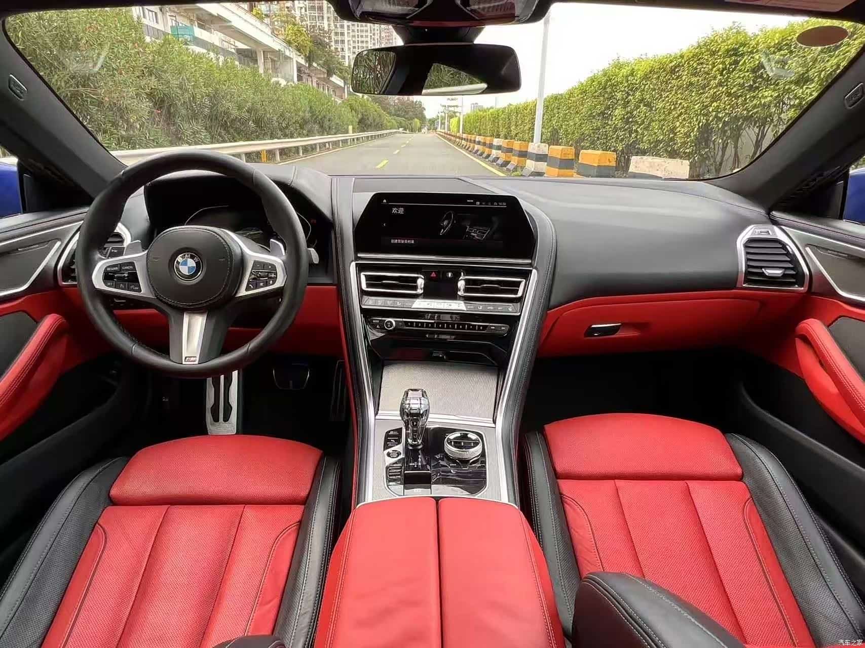 BMW 8 Series, 2023 9