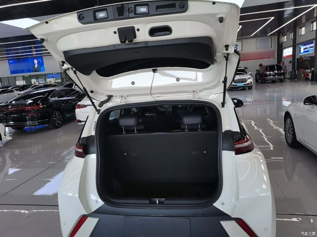 BYD Seagull, 2023 19