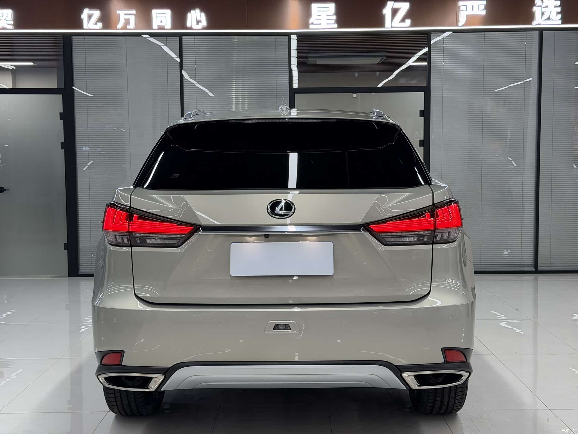 Lexus RX, 2019 19