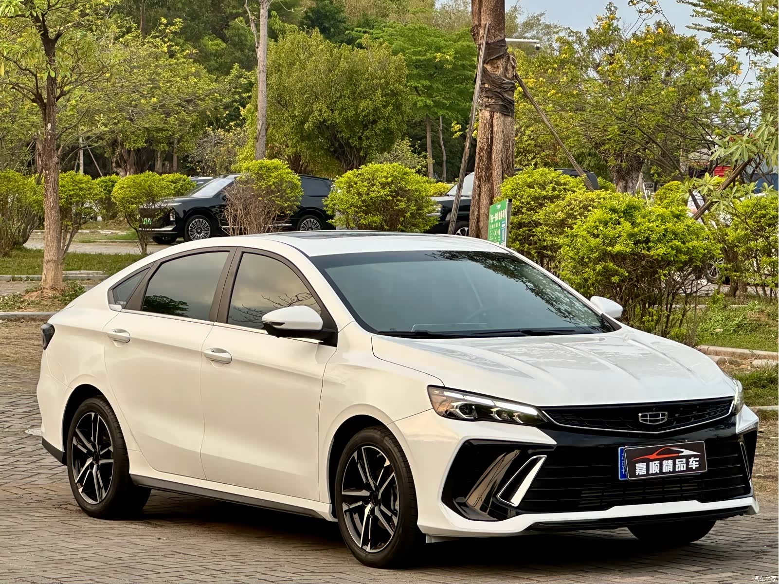 Geely Binray, 2023 3