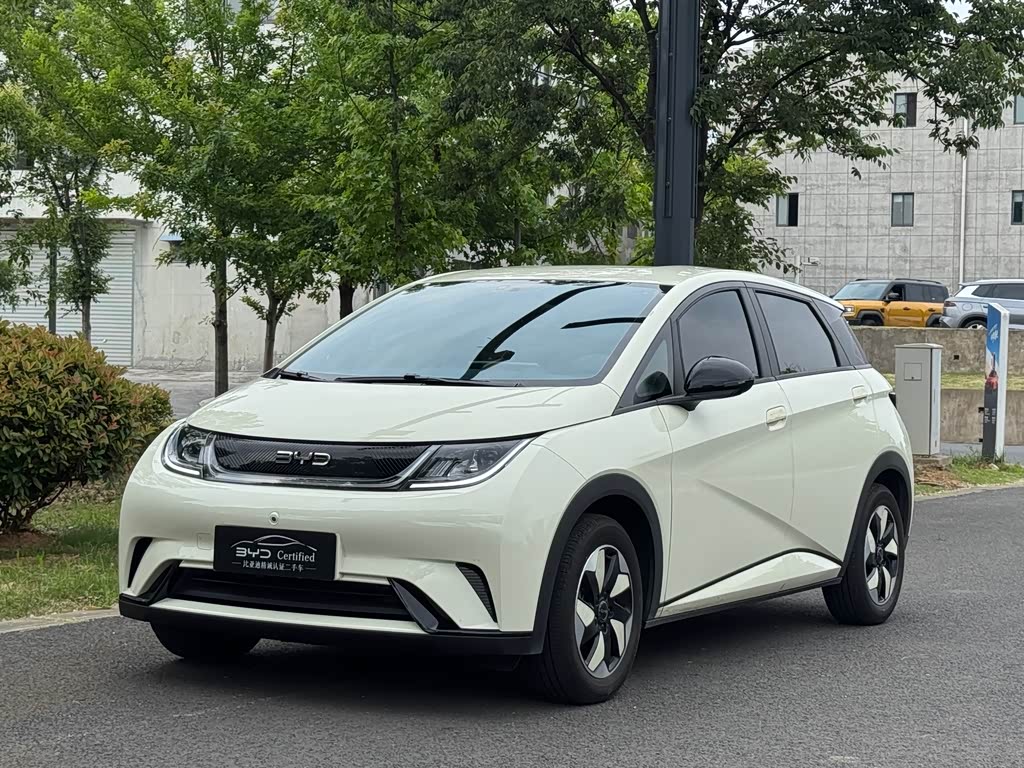 BYD Dolphin