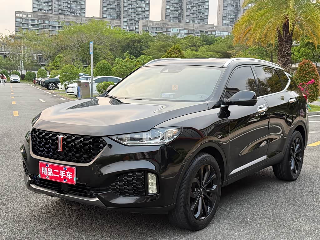 Wey VV6