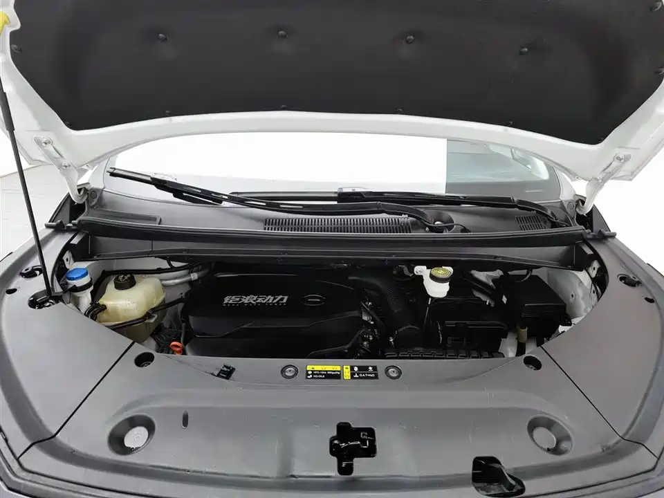 Trumpchi Trumpchi M8