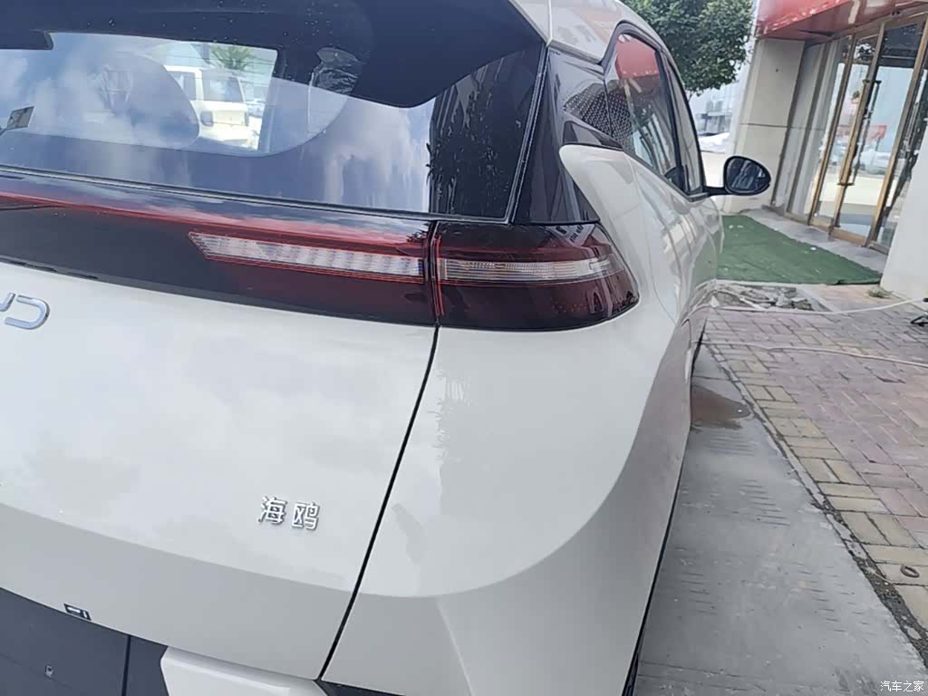 BYD Seagull, 2026 8