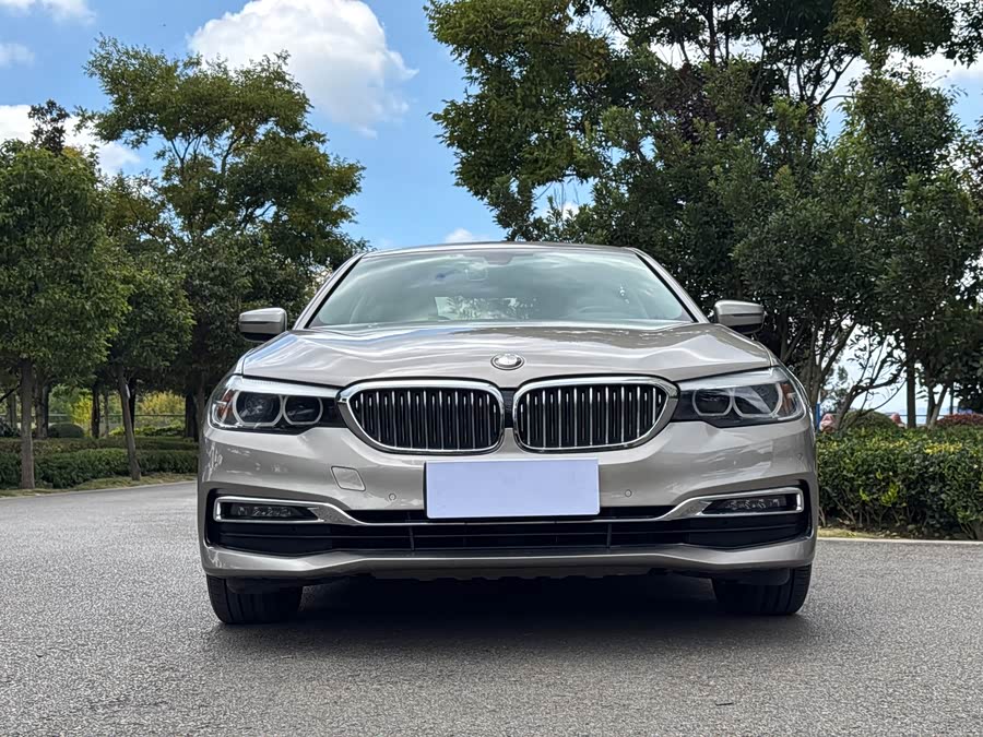BMW 5 Series 2019, фото 2