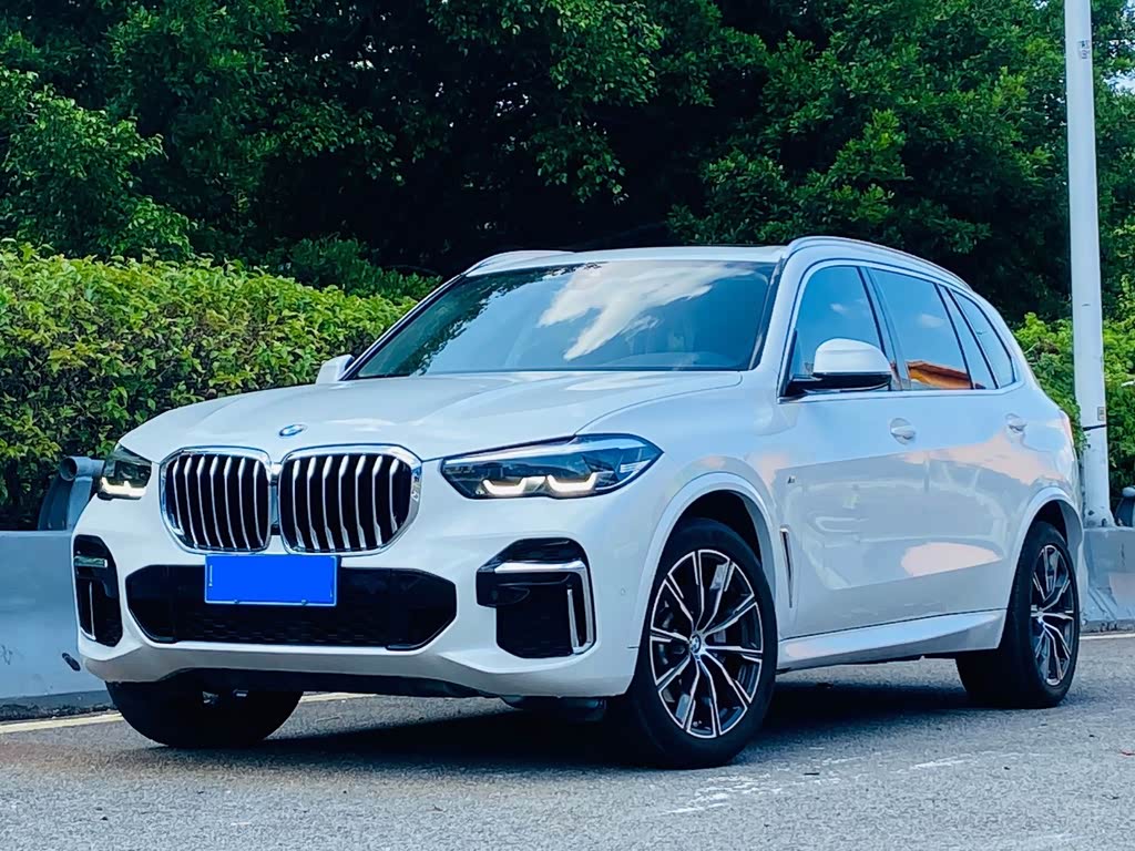 BMW X5 2022 xDrive 30Li M Sport