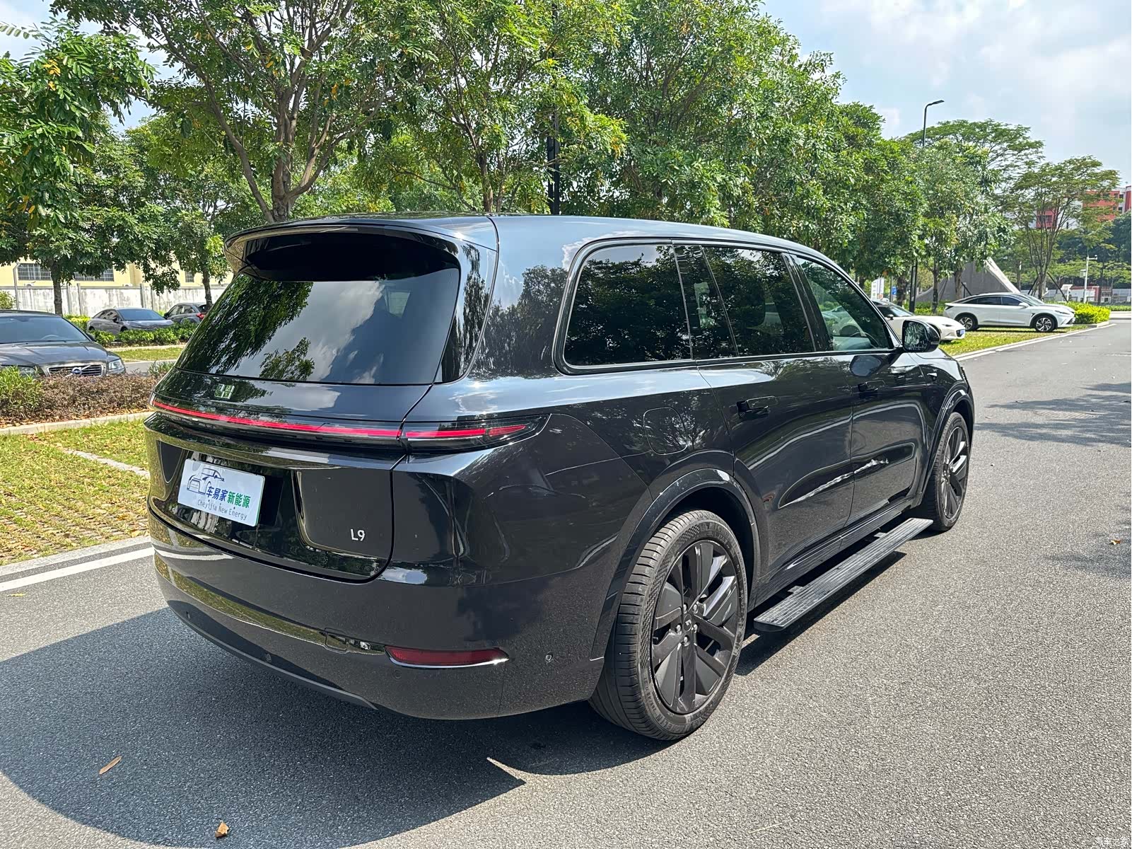 Li Auto L9, 2022 10