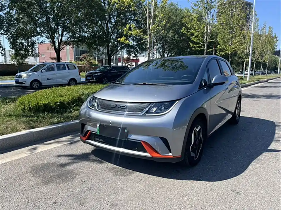 BYD dolphin