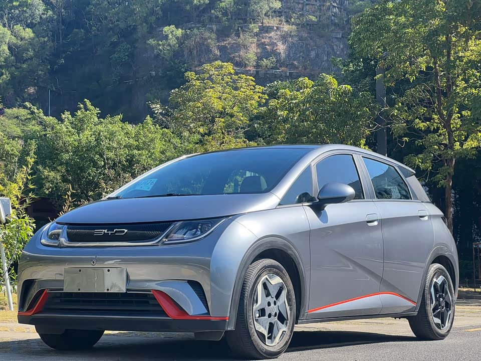 BYD dolphin