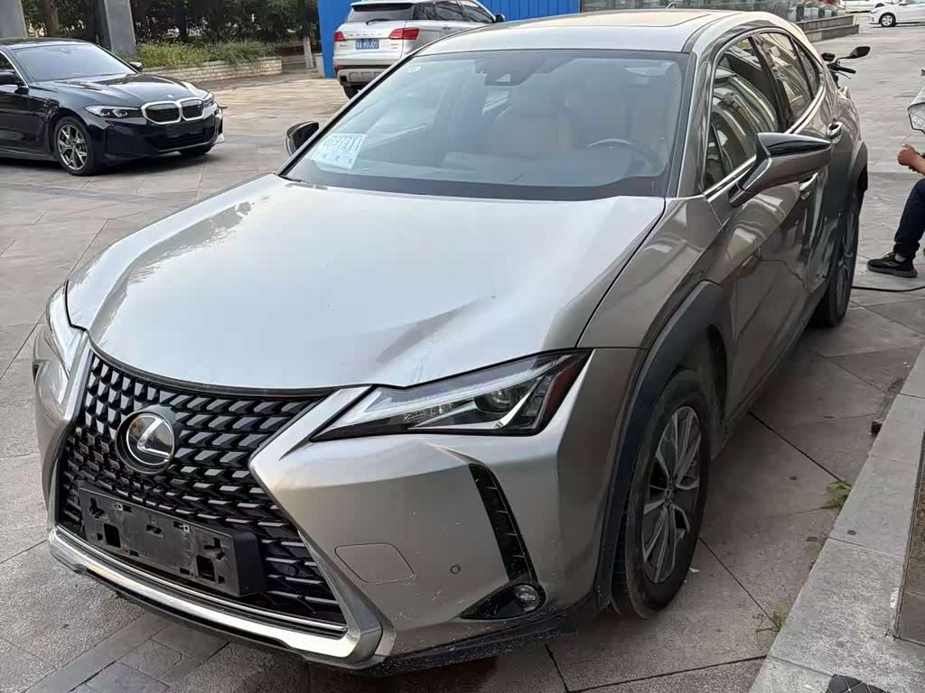 Lexus UX 2020 300e
